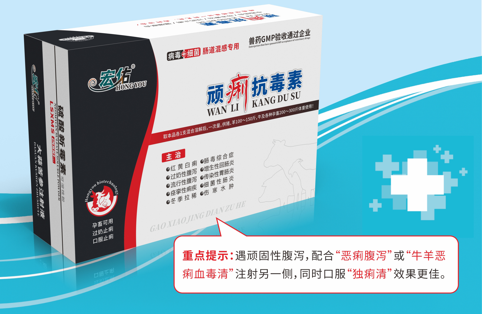 頑痢抗毒素.jpg
