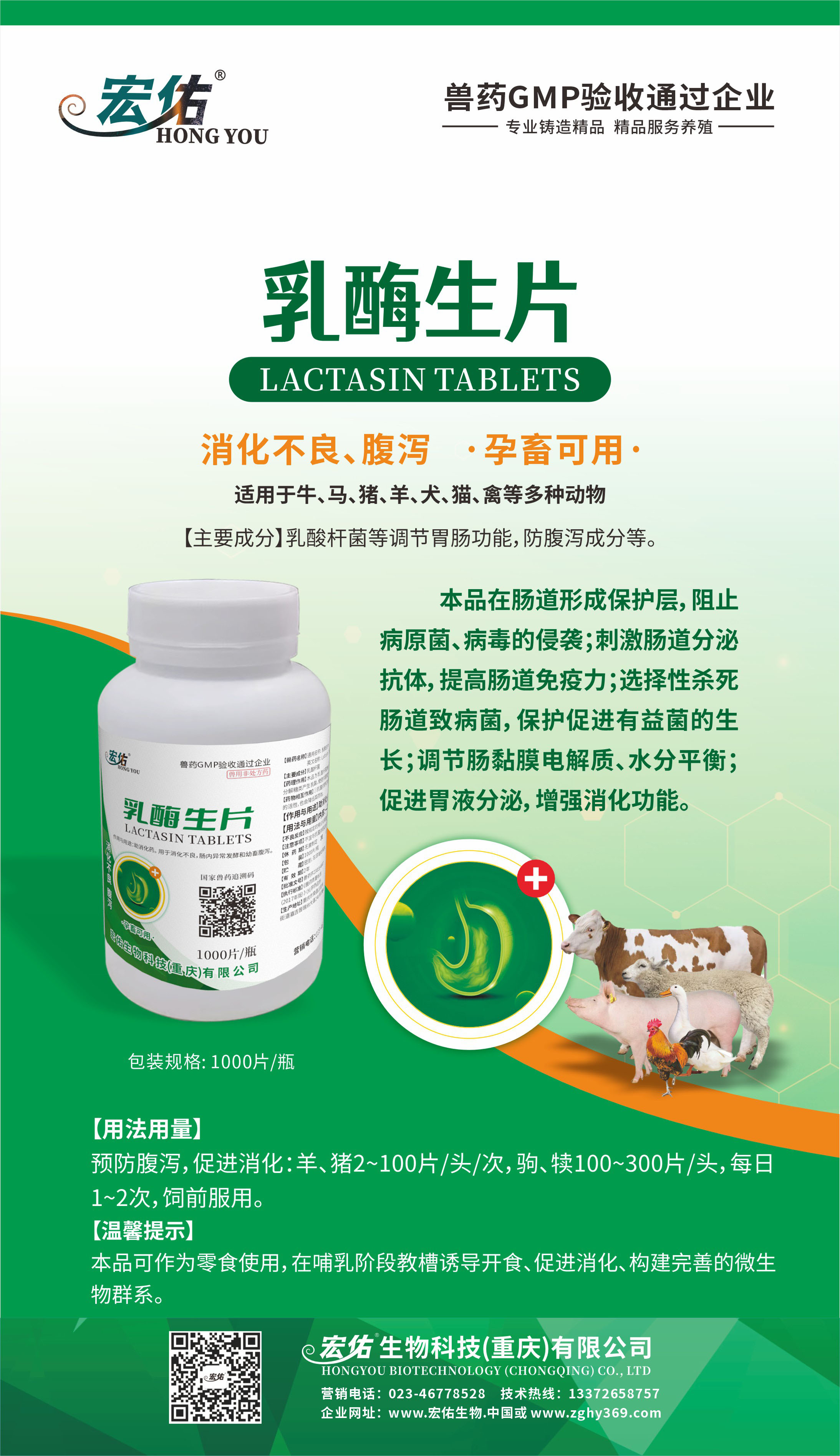 乳酶生片--海報.jpg