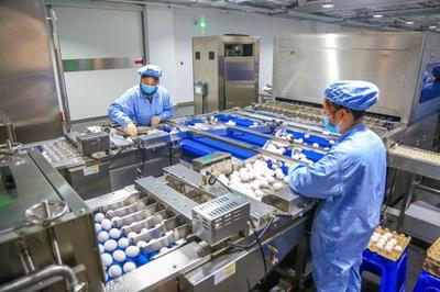 華蘭生物董事長安康 研發不斷前行，新型疫苗與生物制品蓄勢待發